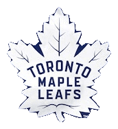 Primary Logo Flag 3x5